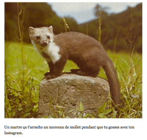 Capture d’écran 2012-10-27 à 06.36.52