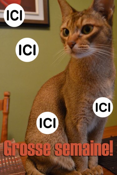 5914_101s51694982011240_1116863047_n copie