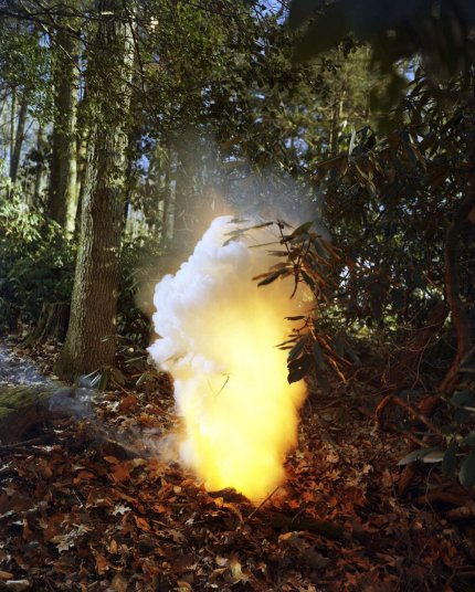  Reuben Cox, Sans titre, C-Print, 40 x 30 pouces, 2007/2010.