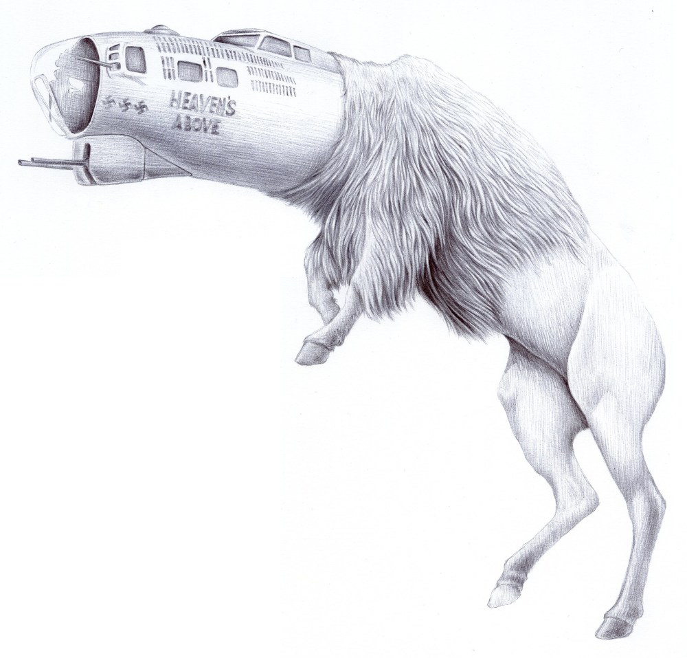 Jesse Hazelip, Heaven, Crayon sur papier, 24x40", 2013 